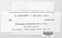 Phyllachora graminis image